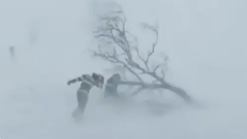 СЭРЭМЖЛҮҮЛЭГ: Цасан шуурга шуурч, ихэнх нутгаар 10-20 градусаар эрс хүйтрэхийг онцгойлон анхааруулж байна